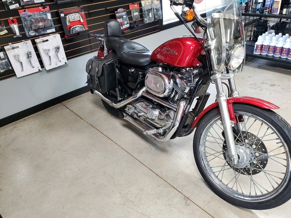 You are currently viewing SOLD – Harley 2010 XL1200c Sportster Custom